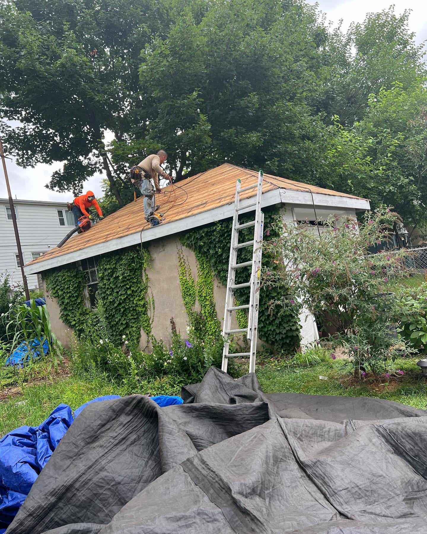 Architectural Shingle Roof Replacement project photo 1
